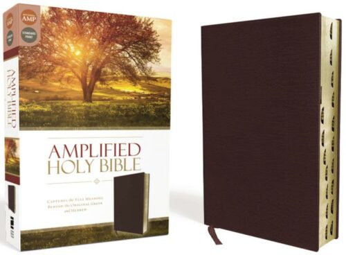 9780310443957 Amplified Bible