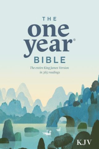 9780842325769 1 Year Bible