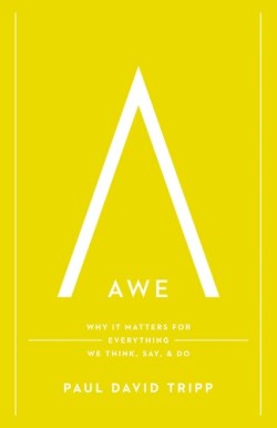 9781433547072 Awe : Why It Matters For Everything We Think Say And Do