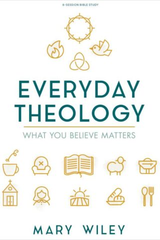 9781535985437 Everyday Theology Bible Study Book (Student/Study Guide)