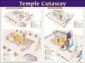 9781628623505 Temple Cutaway Wall Chart Laminated