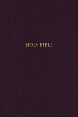 9780310459088 Thompson Chain Reference Bible Handy Size Comfort Print
