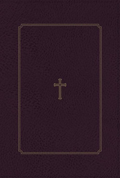 9780310459286 Thompson Chain Reference Bible Comfort Print