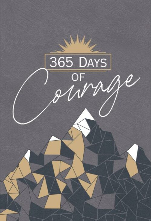 9781424565733 365 Days Of Courage