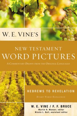 9780310154082 W E Vines New Testament Word Pictures Hebrews To Revelation