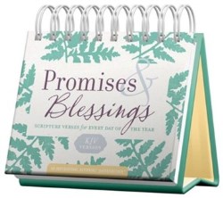 9781644549360 Promises And Blessings KJV Version DayBrightener