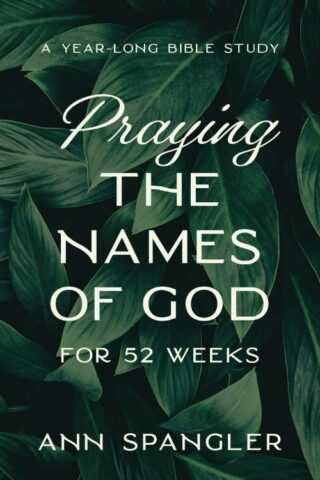 9780310145158 Praying The Names Of God For 52 Weeks