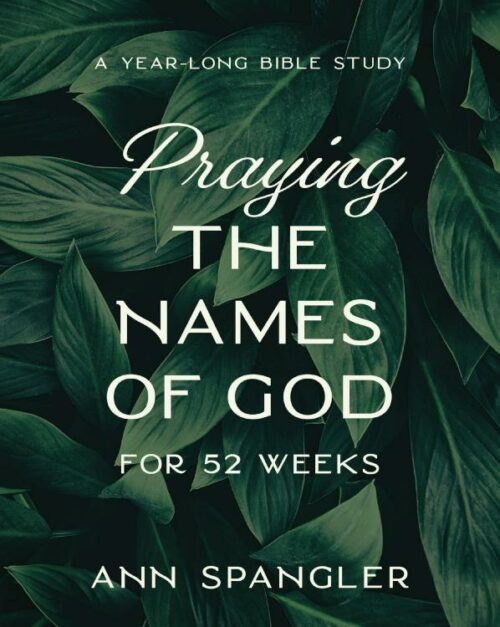 9780310145158 Praying The Names Of God For 52 Weeks