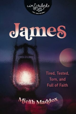 9780310141082 James : Tired Tested Torn And Full Of Faith
