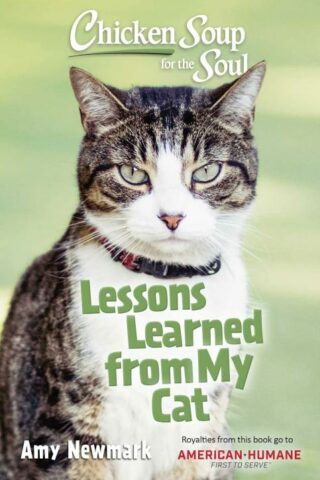 9781611590999 Chicken Soup For The Soul Lessons Learned From My Cat