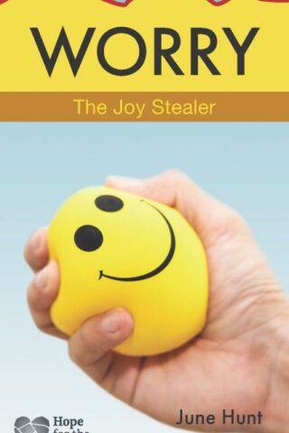 9781628629842 Worry : The Joy Stealer