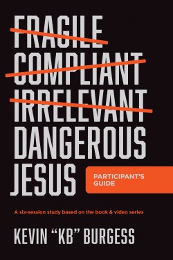 9781496482761 Dangerous Jesus Participants Guide (Student/Study Guide)