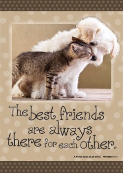 042516634256 Best Friends Poster