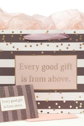 1220000133389 Every Good Gift Large Gift Bag Set With Card And Tissue Paper James 1:17