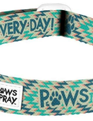 612978546031 Paws And Pray Paws Pet Collar SM-MD