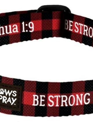 612978546147 Paws And Pray Strong And Courageous Pet Collar LG-XL