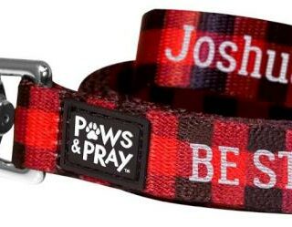 612978546222 Paws And Pray Strong And Courageous Pet Leash