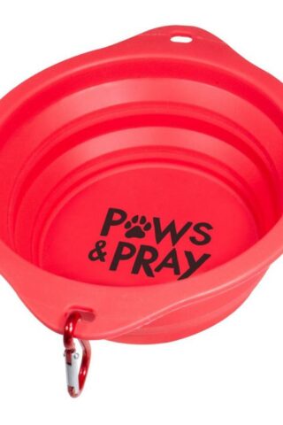 612978546260 Paws And Pray Pet Collapsible Bowl