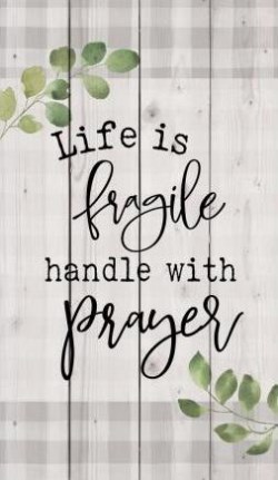 656200985687 Life Is Fragile Handle With Care Pallet Art (Plaque)