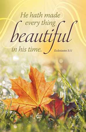 730817352374 Beautiful In His Time Ecclesiastes 3:11 Pack Of 100
