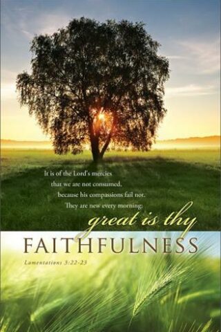 730817358079 Great Is Thy Faithfulness Pack Of 100