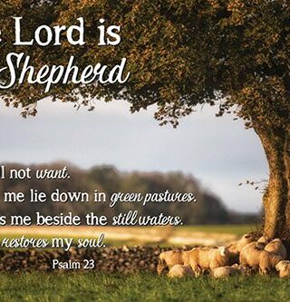 886083536564 Lord Is My Shepherd Poster
