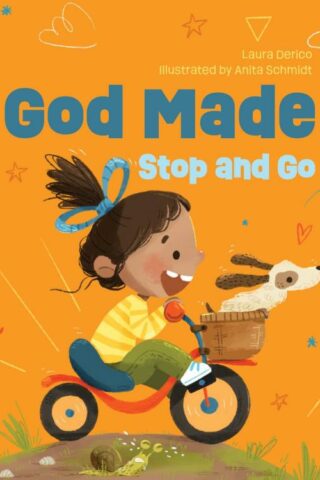 9780830784325 God Made Stop And Go