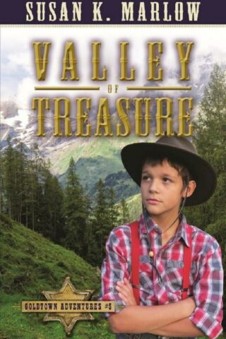 9780825442988 Valley Of Treasure