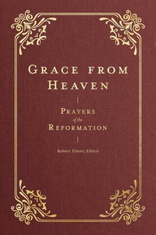 9781683597407 Grace From Heaven