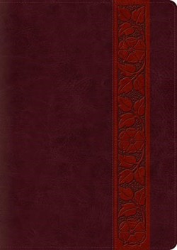 9781433567018 Study Bible Large Print