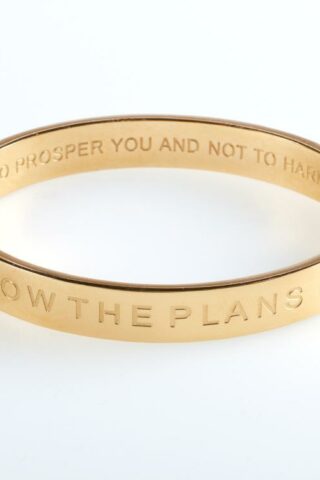 1220000131149 I Know The Plans Hinged Bangle (Bracelet/Wristband)