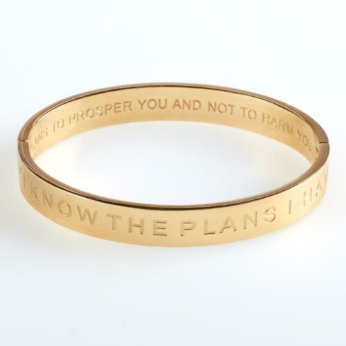 1220000131149 I Know The Plans Hinged Bangle (Bracelet/Wristband)