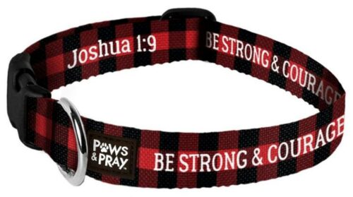 612978546147 Paws And Pray Strong And Courageous Pet Collar LG-XL