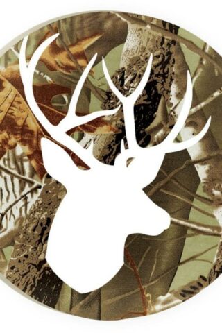 656200222621 Camo Deer Head Coaster Single