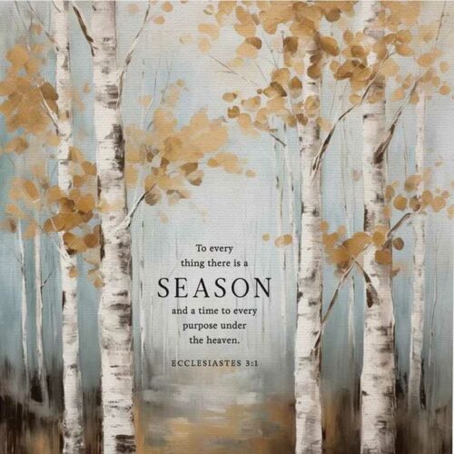 656200855423 To Everything There Is A Season