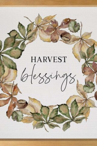 656200985755 Harvest Blessings