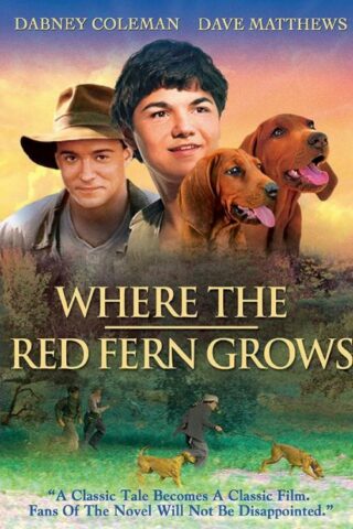 760137438595 Where The Red Fern Grows (DVD)