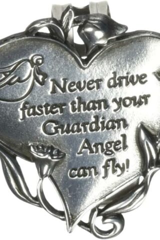 785525214810 Never Drive Faster Heart Visor Clip