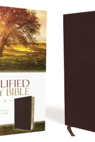 9780310443957 Amplified Bible