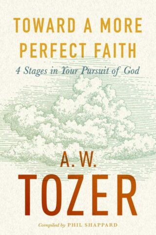 9780802430700 Toward A More Perfect Faith