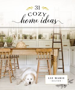 9781400336180 31 Cozy Home Ideas