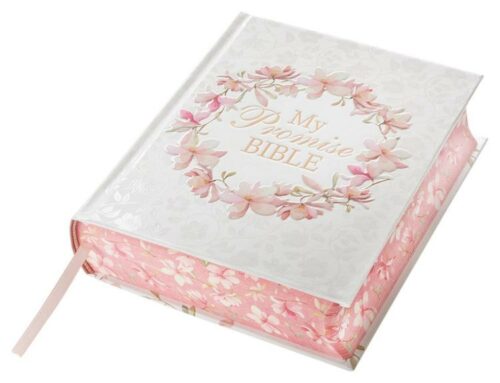 9781432119973 My Promise Bible Journaling Bible