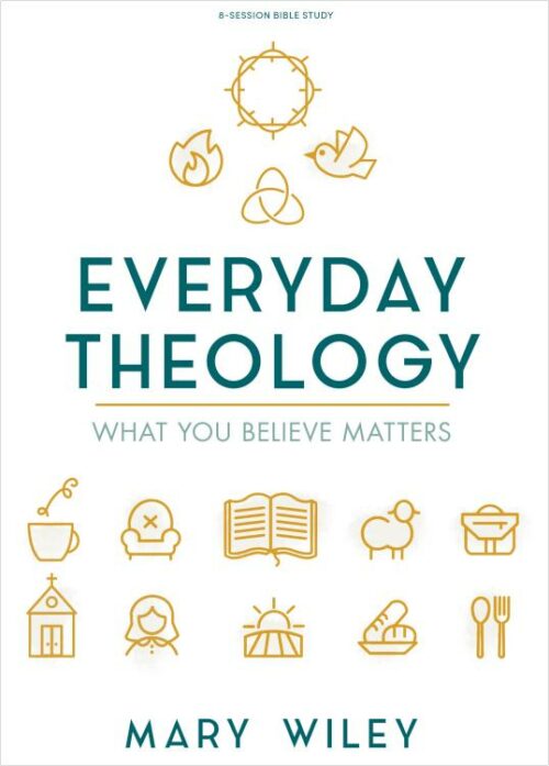 9781535985437 Everyday Theology Bible Study Book (Student/Study Guide)