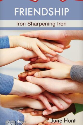 9781596368828 Friendship : Iron Sharpening Iron