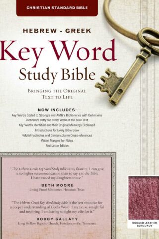 9781617155222 Hebrew Greek Key Word Study Bible