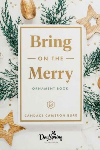 9781648708121 Bring On The Merry Ornament Book