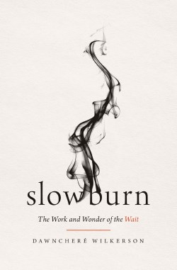 9781400345519 Slow Burn : The Work And Wonder Of The Wait