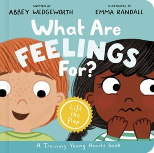 9781802543018 What Are Feelings For