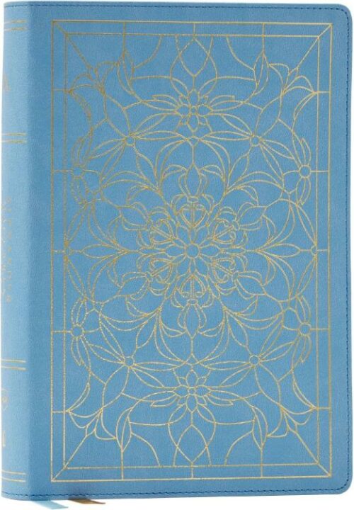 9781400335954 Alexander Maclaren Study Bible Comfort Print