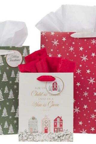 1220000328471 Three Piece Inspirational Christmas Gift Bag